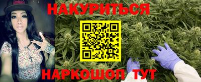спиды Донской