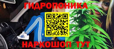 спиды Донской