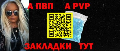 спиды Донской