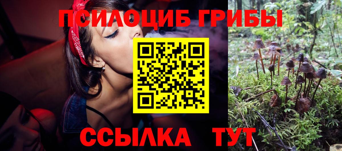 Михайловка  Галлюциногенные грибы мухоморы  Вход с VPN 
