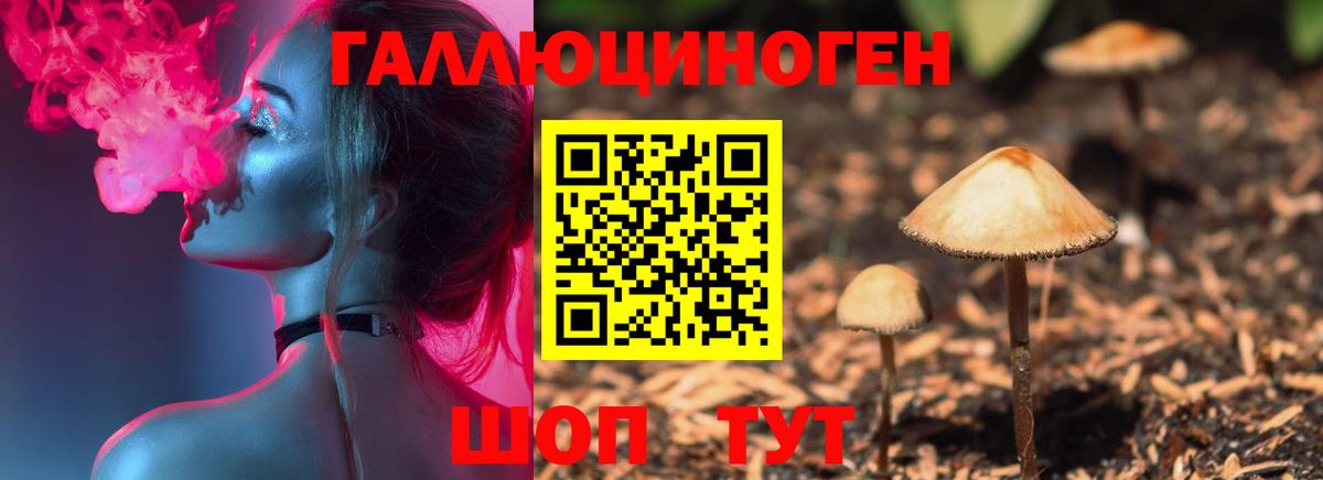 Галлюциногенные грибы мухоморы Михайловка